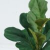 Artificial Plant 24*24*48cm Ficus lyrata bush GS-73524005 2024May YeahFlower is one of Chinese leading OEM manufacturers and exporters , supplying the silk flowers, wholesale artificial trees