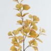 Artificial Plant Ginkgo leaves 4 single stem GS-74524003_2 Artificial Plant 17*17*88cm Ginkgo leaves *4 single stem GS-74524003 2024Jun YeahFlower is one of Chinese leading OEM manufacturers and exporters , supplying the silk flowers, wholesale artificial trees