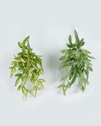 Artificial Plant 25*25*41cm Grass*7 bush GS-14524007 2024May YeahFlower is one of Chinese leading OEM manufacturers and exporters , supplying the silk flowers, wholesale artificial trees Artificial Plant 25*25*41cm Grass*7 bush GS-14524007 2024May YeahFlower is one of Chinese leading OEM manufacturers and exporters , supplying the silk flowers, wholesale artificial trees