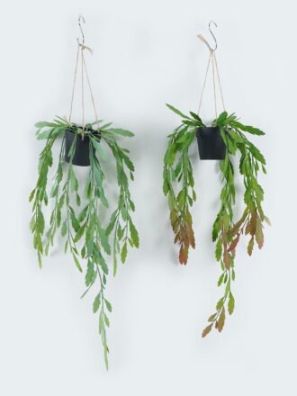 Artificial Plant 19*19*46cm Leaf in PP pot GS-73424010 Banners&Garlands 3,000+ sqm showroom with thousands of artificial flowers, plants & trees ready for global sourcing.