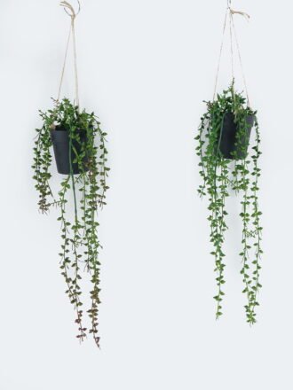 Artificial Plant 25*25*50cm Leaf in PP pot GS-73424016 Potted Flowers&Plants 3,000+ sqm showroom with thousands of artificial flowers, plants & trees ready for global sourcing.