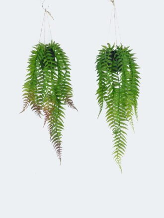 Artificial Plant 25*25*58cm Leaf in PP pot GS-73424017 Potted Flowers&Plants 3,000+ sqm showroom with thousands of artificial flowers, plants & trees ready for global sourcing.