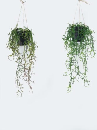 Artificial Plant 25*25*58cm Leaf in PP pot GS-73424017 Potted Flowers&Plants 3,000+ sqm showroom with thousands of artificial flowers, plants & trees ready for global sourcing.