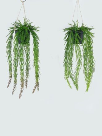 Artificial Plant 20*20*38cm Leaf in PP pot GS-73424018 Potted Flowers&Plants 3,000+ sqm showroom with thousands of artificial flowers, plants & trees ready for global sourcing.