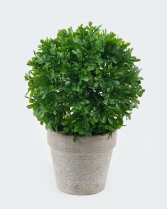 Artificial Plant 15*15*21cm Leaf in Paper pulp pot GS-73724004 2024May YeahFlower is one of Chinese leading OEM manufacturers and exporters , supplying the silk flowers, wholesale artificial trees