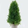 Artificial Plant 18*18*42cm Leaf in Paper pulp pot GS-73724005 2024May YeahFlower is one of Chinese leading OEM manufacturers and exporters , supplying the silk flowers, wholesale artificial trees