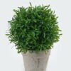 Artificial Plant Leaf in Paper pulp pot GS-73724008_3 Artificial Plant 17*17*21cm Leaf in Paper pulp pot GS-73724008 2024May YeahFlower is one of Chinese leading OEM manufacturers and exporters , supplying the silk flowers, wholesale artificial trees