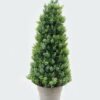 Artificial Plant 17*17*40cm Leaf in Paper pulp pot GS-73724013 2024May YeahFlower is one of Chinese leading OEM manufacturers and exporters , supplying the silk flowers, wholesale artificial trees
