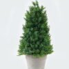 Artificial Plant 14*14*31cm Leaf in Paper pulp pot GS-73724014 Toplary YeahFlower is one of Chinese leading OEM manufacturers and exporters , supplying the silk flowers, wholesale artificial trees