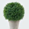 Artificial Plant 19*19*22cm Leaf in Paper pulp pot GS-73724015 Toplary YeahFlower is one of Chinese leading OEM manufacturers and exporters , supplying the silk flowers, wholesale artificial trees