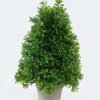 Artificial Plant Leaf in Paper pulp pot GS-73724026_3 Artificial Plant 20*20*32cm Leaf in Paper pulp pot GS-73724026 2024May YeahFlower is one of Chinese leading OEM manufacturers and exporters , supplying the silk flowers, wholesale artificial trees