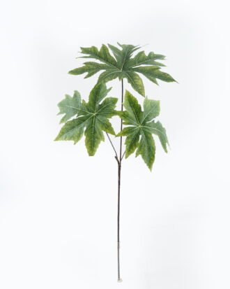 Artificial Plant 36*36*73cm Papaya leaf*3 single stem GS-71224034 2024May YeahFlower is one of Chinese leading OEM manufacturers and exporters , supplying the silk flowers, wholesale artificial trees Artificial Plant 36*36*73cm Papaya leaf*3 single stem GS-71224034 2024May YeahFlower is one of Chinese leading OEM manufacturers and exporters , supplying the silk flowers, wholesale artificial trees