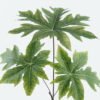 Artificial Plant Papaya leaf 3 single stem GS-71224034_7 Artificial Plant 36*36*73cm Papaya leaf*3 single stem GS-71224034 2024May YeahFlower is one of Chinese leading OEM manufacturers and exporters , supplying the silk flowers, wholesale artificial trees