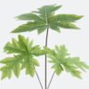 Artificial Plant Papaya leaf 3 single stem GS-71224035_5 Artificial Plant 28*28*69cm Papaya leaf*3 single stem GS-71224035 2024May YeahFlower is one of Chinese leading OEM manufacturers and exporters , supplying the silk flowers, wholesale artificial trees