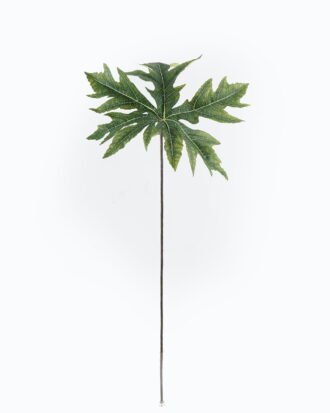 Artificial Plant 40*40*82cm Papaya leaf single stem GS-71224032 2024May YeahFlower is one of Chinese leading OEM manufacturers and exporters , supplying the silk flowers, wholesale artificial trees Artificial Plant 40*40*82cm Papaya leaf single stem GS-71224032 2024May YeahFlower is one of Chinese leading OEM manufacturers and exporters , supplying the silk flowers, wholesale artificial trees