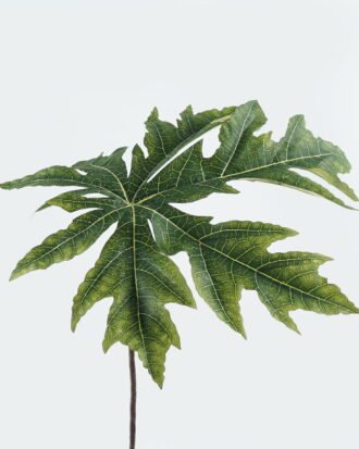 Artificial Plant 40*40*82cm Papaya leaf single stem GS-71224032 2024May YeahFlower is one of Chinese leading OEM manufacturers and exporters , supplying the silk flowers, wholesale artificial trees Artificial Plant 40*40*82cm Papaya leaf single stem GS-71224032 2024May YeahFlower is one of Chinese leading OEM manufacturers and exporters , supplying the silk flowers, wholesale artificial trees