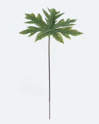 Artificial Plant 28*28*63cm Papaya leaf single stem GS-71224033 2024May YeahFlower is one of Chinese leading OEM manufacturers and exporters , supplying the silk flowers, wholesale artificial trees Artificial Plant 28*28*63cm Papaya leaf single stem GS-71224033 2024May YeahFlower is one of Chinese leading OEM manufacturers and exporters , supplying the silk flowers, wholesale artificial trees