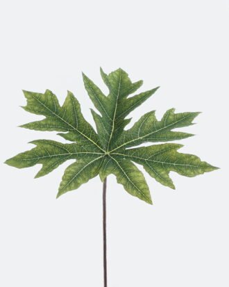 Artificial Plant 28*28*63cm Papaya leaf single stem GS-71224033 2024May YeahFlower is one of Chinese leading OEM manufacturers and exporters , supplying the silk flowers, wholesale artificial trees Artificial Plant 28*28*63cm Papaya leaf single stem GS-71224033 2024May YeahFlower is one of Chinese leading OEM manufacturers and exporters , supplying the silk flowers, wholesale artificial trees