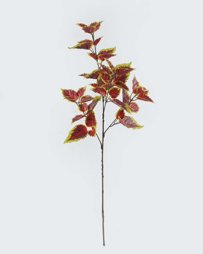 Artificial Plant Perilla leaves 4 single stem GS-74524004_4 Artificial Plant 17*17*88cm Perilla leaves *4 single stem GS-74524004 2024Jun YeahFlower is one of Chinese leading OEM manufacturers and exporters , supplying the silk flowers, wholesale artificial trees