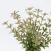 Artificial Plant 12*12*28cm Purslane bush GS-73624020-Z1 2024May YeahFlower is one of Chinese leading OEM manufacturers and exporters , supplying the silk flowers, wholesale artificial trees