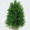 Artificial Plant 18*18*34cm Rosemary in Paper pulp pot GS-73724010 2024May YeahFlower is one of Chinese leading OEM manufacturers and exporters , supplying the silk flowers, wholesale artificial trees