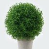 Artificial Plant 22*22*28cm Rosemary in Paper pulp pot GS-73724011 2024May YeahFlower is one of Chinese leading OEM manufacturers and exporters , supplying the silk flowers, wholesale artificial trees