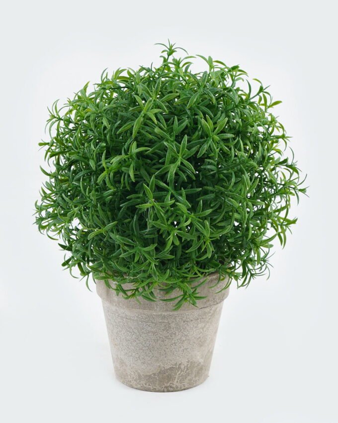 Artificial Plant 18*18*24cm Rosemary in Paper pulp pot GS-73724012 2024May YeahFlower is one of Chinese leading OEM manufacturers and exporters , supplying the silk flowers, wholesale artificial trees