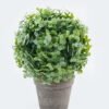 Artificial Plant 14*14*19cm Yunnan pistache in Paper pulp pot GS-73724020 2024May YeahFlower is one of Chinese leading OEM manufacturers and exporters , supplying the silk flowers, wholesale artificial trees