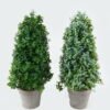 Artificial Plant 18*18*41cm in Yunnan pistache Paper pulp pot GS-73724017 2024May YeahFlower is one of Chinese leading OEM manufacturers and exporters , supplying the silk flowers, wholesale artificial trees