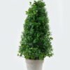 Artificial Plant 18*18*41cm in Yunnan pistache Paper pulp pot GS-73724017 2024May YeahFlower is one of Chinese leading OEM manufacturers and exporters , supplying the silk flowers, wholesale artificial trees