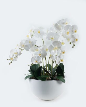 Artificial Table Plants Phalaenopsis in PP pot GS-41324001 2024May YeahFlower is one of Chinese leading OEM manufacturers and exporters , supplying the silk flowers, wholesale artificial trees