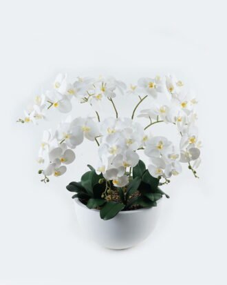 Artificial Table Plants Phalaenopsis in PP pot GS-41324001 2024May YeahFlower is one of Chinese leading OEM manufacturers and exporters , supplying the silk flowers, wholesale artificial trees