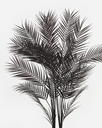 Artificial Tree 75*75*125cm Kwai leaves in pp pot GF-07218010-H1 2024May YeahFlower is one of Chinese leading OEM manufacturers and exporters , supplying the silk flowers, wholesale artificial trees