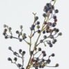 Artificial Flower 19*19*70 Amur grape single stem GS-74724019 Single Flowers 3,000+ sqm showroom with thousands of artificial flowers, plants & trees ready for global sourcing.