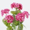 Artificial Flower Begonia 5 bush GS-128J24005_2 Artificial Flower 16*16*36cm Begonia *5 bush GS-128J24005 2024Jun YeahFlower is one of Chinese leading OEM manufacturers and exporters , supplying the silk flowers, wholesale artificial trees