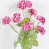 Artificial Flower Begonia 7 bush GS-128J24004-P2_5 Artificial Flower 19*19*58cm Begonia *7 bush GS-128J24004-P2 2024Jun YeahFlower is one of Chinese leading OEM manufacturers and exporters , supplying the silk flowers, wholesale artificial trees
