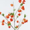 Artificial Flower 46*46*120cm Bellflower single stem GS-2620094-O1 2024Jun YeahFlower is one of Chinese leading OEM manufacturers and exporters , supplying the silk flowers, wholesale artificial trees