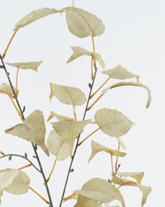 Artificial Flower 15*15*92cm Bodhi Foliage single stem GS-49524007-G1 2024Jul YeahFlower is one of Chinese leading OEM manufacturers and exporters , supplying the silk flowers, wholesale artificial trees Artificial Flower 15*15*92cm Bodhi Foliage single stem GS-49524007-G1 2024Jul YeahFlower is one of Chinese leading OEM manufacturers and exporters , supplying the silk flowers, wholesale artificial trees