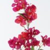Artificial Flower Bougainvillea 2 spray GS-49524009-R2_3 Artificial Flower 22*22*100cm Bougainvillea *2 spray GS-49524009-R2 2024Jul YeahFlower is one of Chinese leading OEM manufacturers and exporters , supplying the silk flowers, wholesale artificial trees