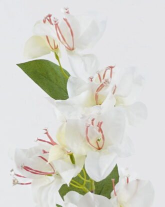 Artificial Flower 14*14*78cm Bougainvillea single stem GS-49524008-W1 2024Jul YeahFlower is one of Chinese leading OEM manufacturers and exporters , supplying the silk flowers, wholesale artificial trees Artificial Flower 14*14*78cm Bougainvillea single stem GS-49524008-W1 2024Jul YeahFlower is one of Chinese leading OEM manufacturers and exporters , supplying the silk flowers, wholesale artificial trees