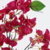 Artificial Flower 22*22*97cm Bougainvillea single stem GS-49524011-R1 2024Jul YeahFlower is one of Chinese leading OEM manufacturers and exporters , supplying the silk flowers, wholesale artificial trees