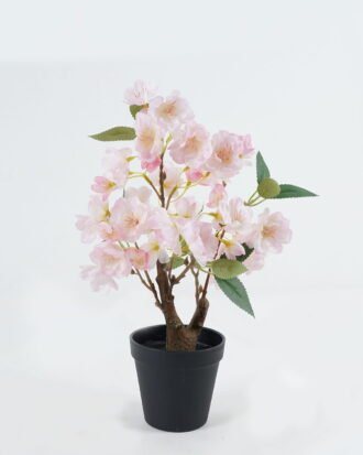 Artificial Flower 23*23*39cm Cherry blossom in PP pot GS-59524023 2024Jul YeahFlower is one of Chinese leading OEM manufacturers and exporters , supplying the silk flowers, wholesale artificial trees Artificial Flower 23*23*39cm Cherry blossom in PP pot GS-59524023 2024Jul YeahFlower is one of Chinese leading OEM manufacturers and exporters , supplying the silk flowers, wholesale artificial trees