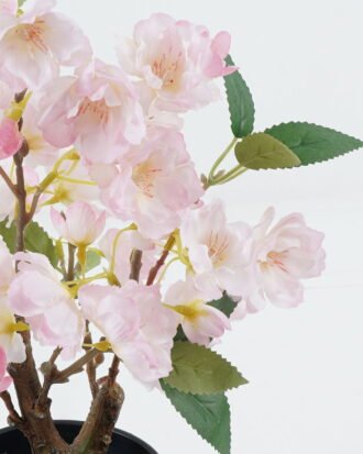 Artificial Flower 23*23*39cm Cherry blossom in PP pot GS-59524023 2024Jul YeahFlower is one of Chinese leading OEM manufacturers and exporters , supplying the silk flowers, wholesale artificial trees Artificial Flower 23*23*39cm Cherry blossom in PP pot GS-59524023 2024Jul YeahFlower is one of Chinese leading OEM manufacturers and exporters , supplying the silk flowers, wholesale artificial trees