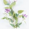 Artificial Flower Clematis 4 single stem GS-27924018-Z1_3 Artificial Flower 20*20*116cm Clematis *4 single stem GS-27924018-Z1 2024Jul YeahFlower is one of Chinese leading OEM manufacturers and exporters , supplying the silk flowers, wholesale artificial trees