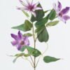 Artificial Flower Clematis 4 single stem GS-27924019_2 Artificial Flower 15*15*84cm Clematis *4 single stem GS-27924019 2024Jul YeahFlower is one of Chinese leading OEM manufacturers and exporters , supplying the silk flowers, wholesale artificial trees