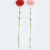 Artificial Flower 9*9*67cm Dianthus Carnation GS-05524067 2024Jun YeahFlower is one of Chinese leading OEM manufacturers and exporters , supplying the silk flowers, wholesale artificial trees