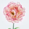 Artificial Flower 9*9*67cm Dianthus Carnation GS-05524067 2024Jun YeahFlower is one of Chinese leading OEM manufacturers and exporters , supplying the silk flowers, wholesale artificial trees