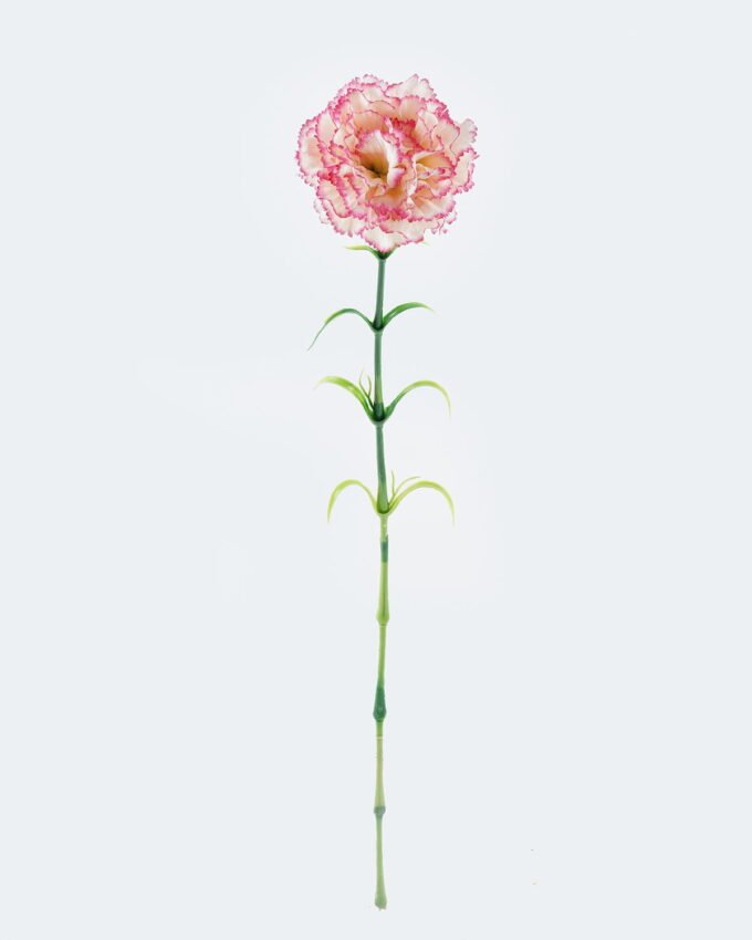 Artificial Flower 9*9*67cm Dianthus Carnation GS-05524067 2024Jun YeahFlower is one of Chinese leading OEM manufacturers and exporters , supplying the silk flowers, wholesale artificial trees
