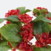 Artificial Flower 17*17*37cm Flower *3 bouquet GS-49524003-R2 2024Jul YeahFlower is one of Chinese leading OEM manufacturers and exporters , supplying the silk flowers, wholesale artificial trees