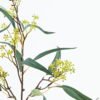 Artificial Flower 32*32*81cm Fruit single stem GS-54224003-G1 Single Flowers 3,000+ sqm showroom with thousands of artificial flowers, plants & trees ready for global sourcing.
